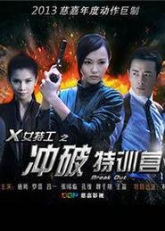 国产片国语版,跨越语言障碍,感受本土文化魅力